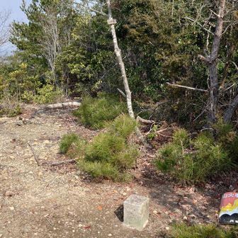 気温も上がり汗だくになって川向山登頂です。
三等三角点「川向山」