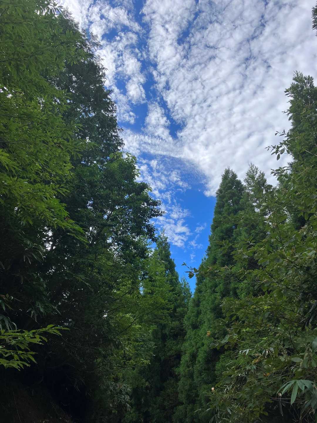 天気は快晴☀️