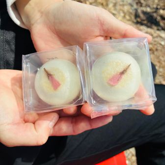 クラブハリエの和菓子①✨
漉し餡のお饅頭で桜の花弁がワンポイント🌸←ｶﾉｼﾞｮﾊｺｼｱﾝﾊﾃﾞｼﾞﾌﾞﾝﾊﾂﾌﾞｱﾝﾊ笑