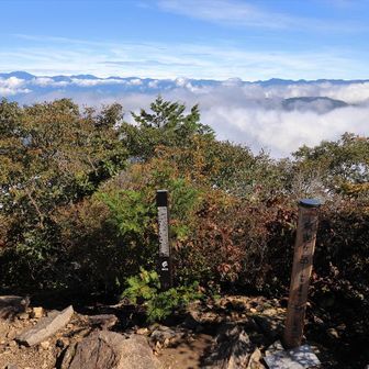 背後(北方向)には金峰山から大菩薩嶺辺りまでズラリと見えた。
甲府盆地は雲海に覆われている？