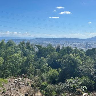 右は生駒山
遠くにうっすらと大峰が見えてました✨