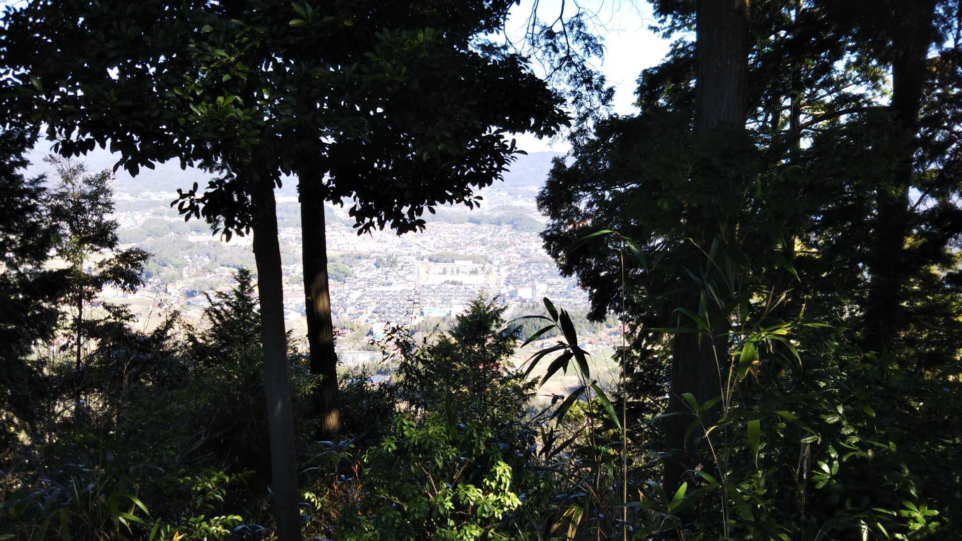 神社の隙間から🤳