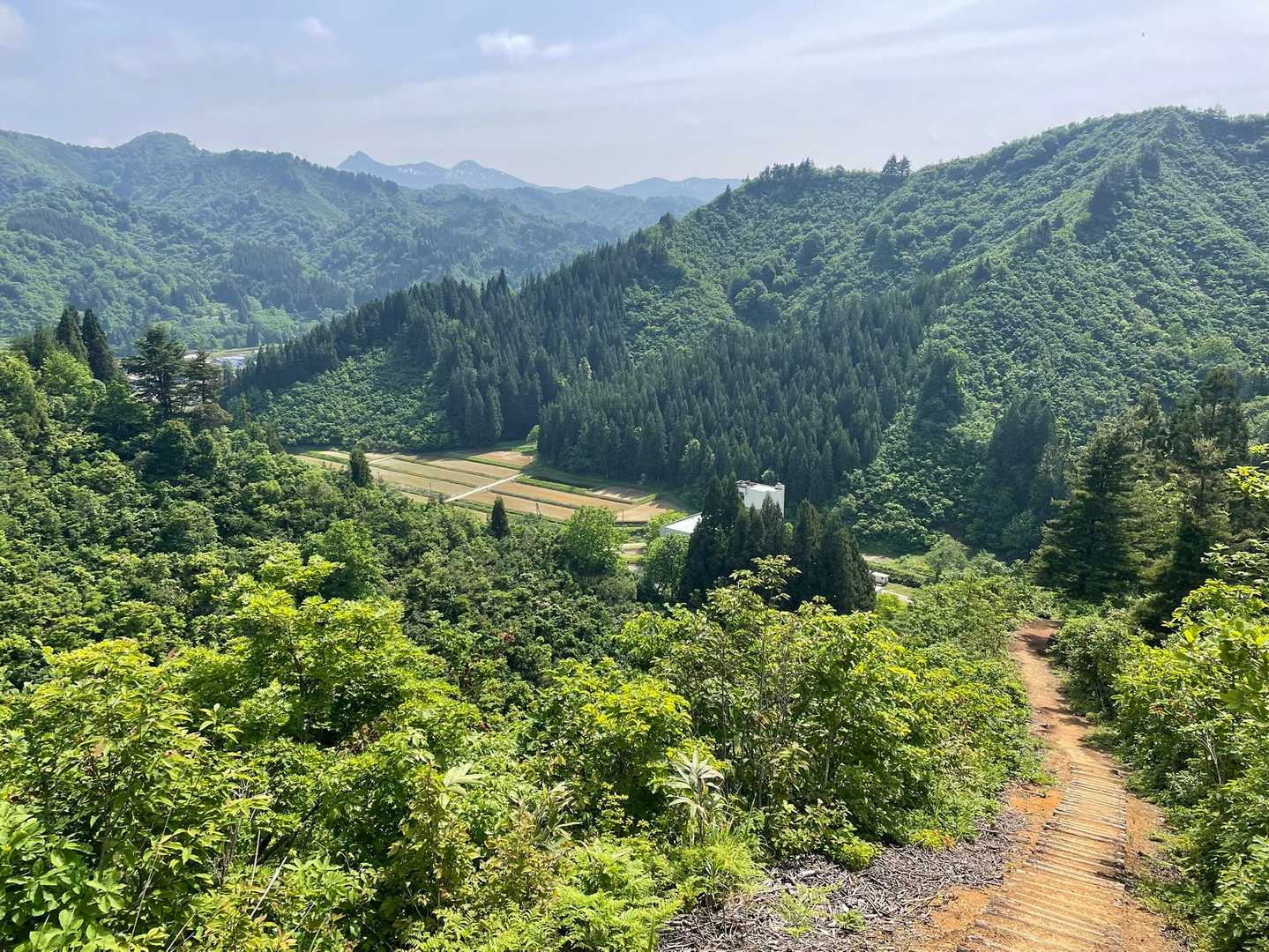 少し登るともう展望が良くて🙌