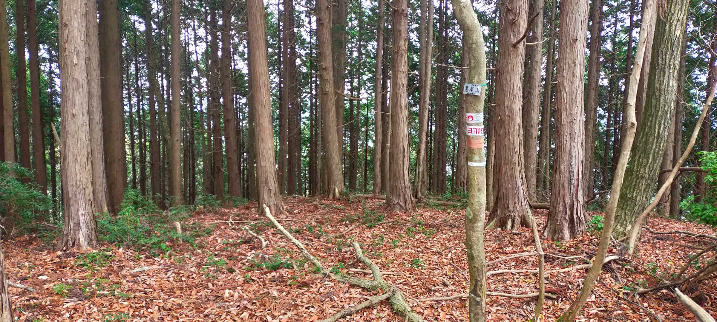 黒尾山登頂！😅　やっぱり眺望は全く有りません…😥