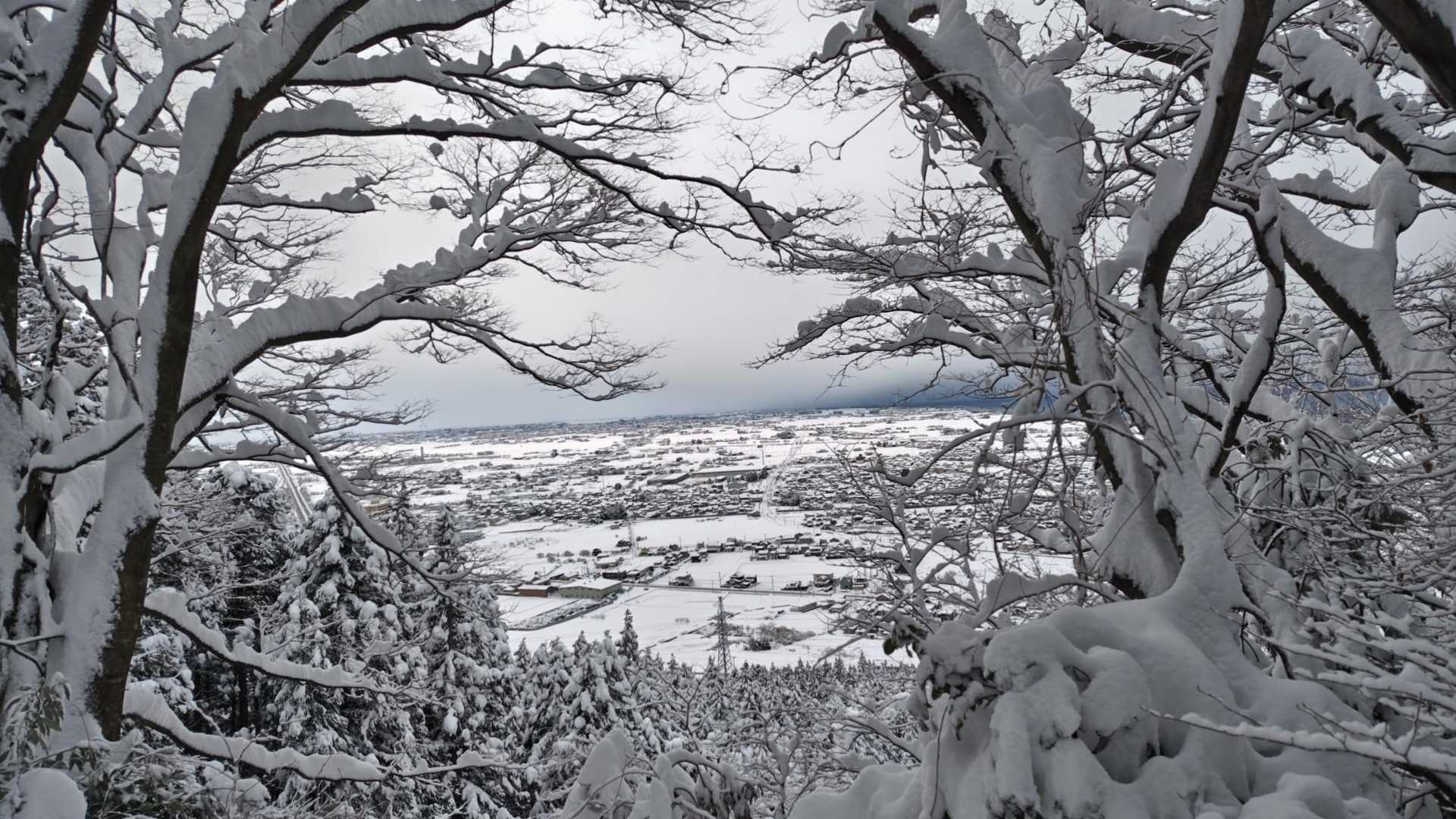 町がよく見えます✨