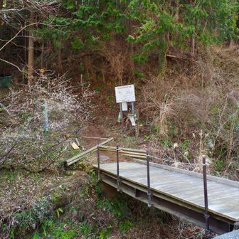 小さな流れを渡り入山
ヒルよ寝ていてくれ〜💦🙏