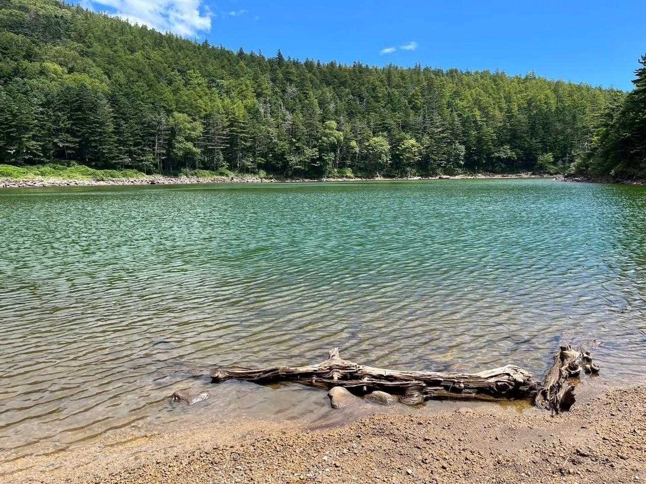 【JAPAN TRAIL】八ヶ岳登山道④（麦草峠 - 大河原峠）の写真
