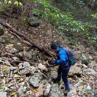 つっかえ棒を探してます😅