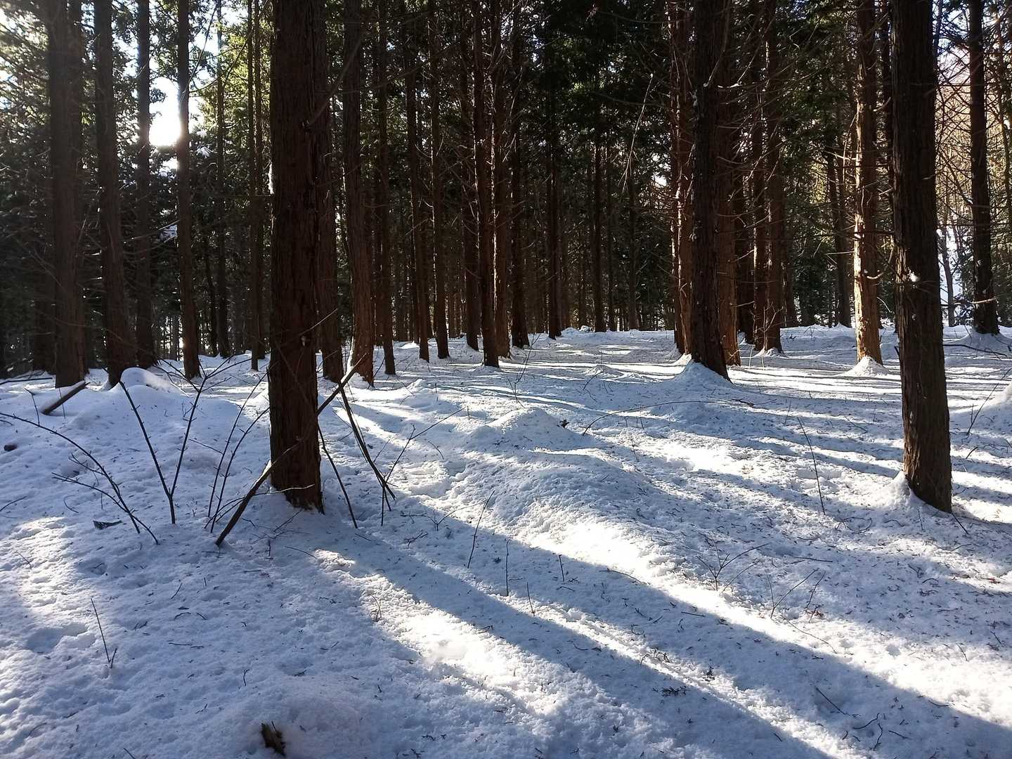 こういう里山感がいい。