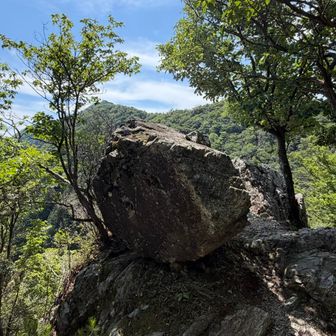 前山のピークが少し残念な感じだったのでその手前で休憩