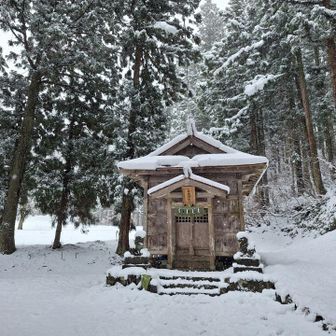 雪レフ効果で明るい鳥坂神社