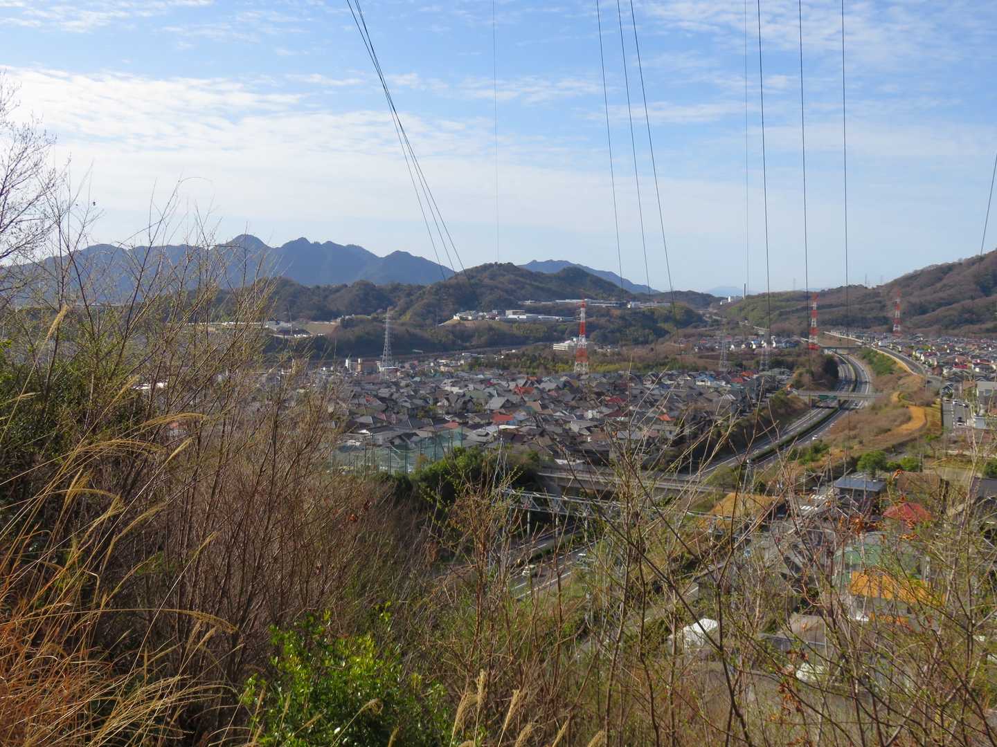 奥に見えるのは宮島弥山です