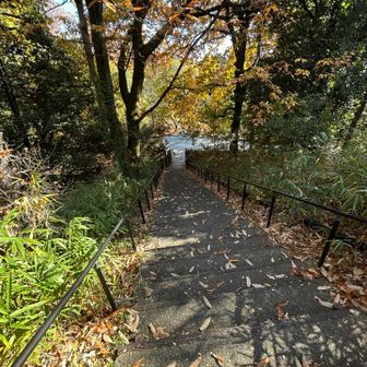 ここを下りると阪大。