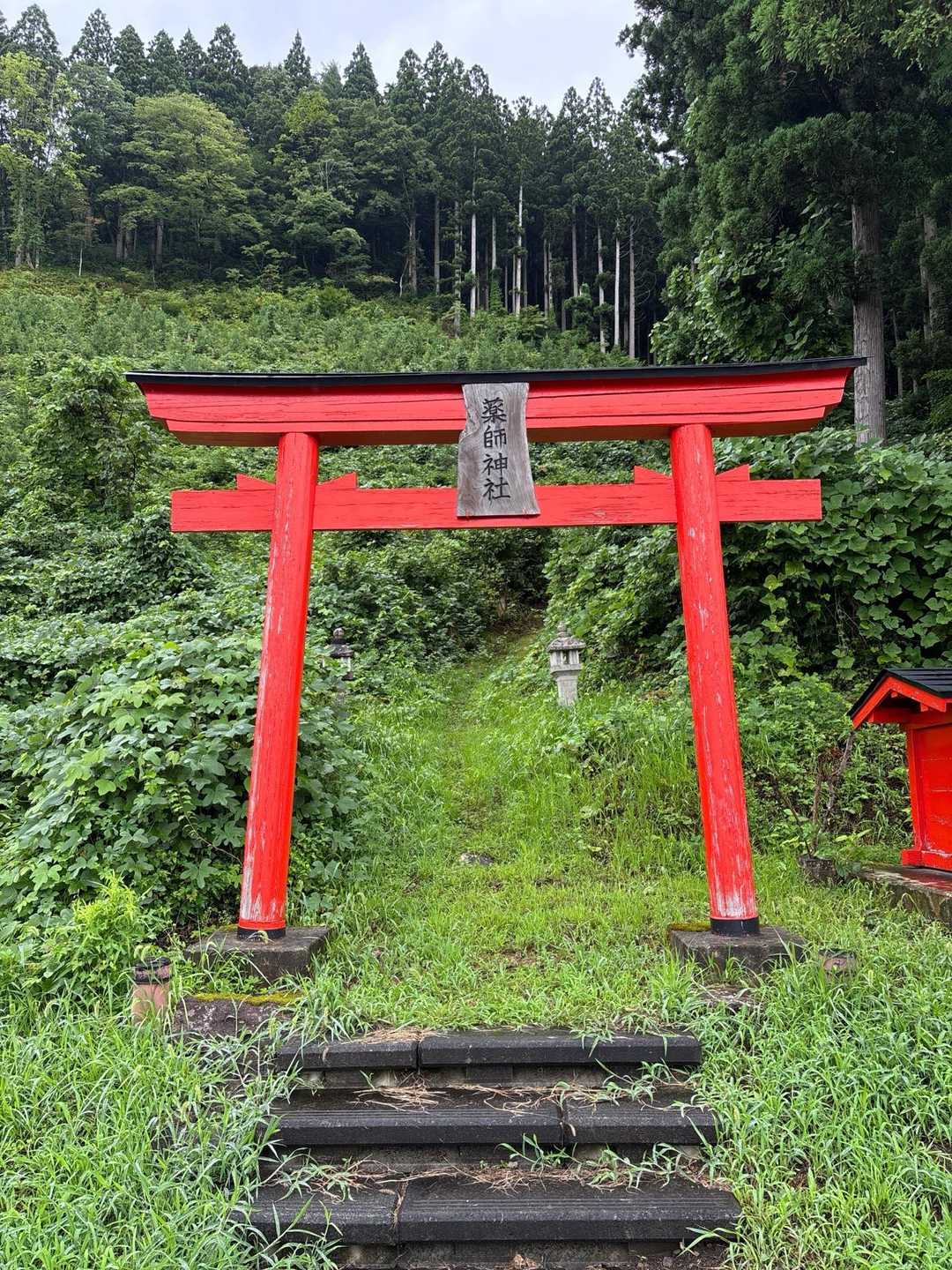 薬師山登山口-薬師山 往復コースの写真