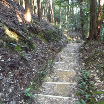 整備された道
