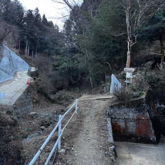 10分ほど歩いて民家脇の和田尾根登山口から▶️歩き出しマイナス3〜4℃
指先がかじかんで辛い〜