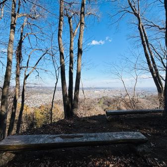 眺めがよいところに、素朴なベンチが3つほどありました
