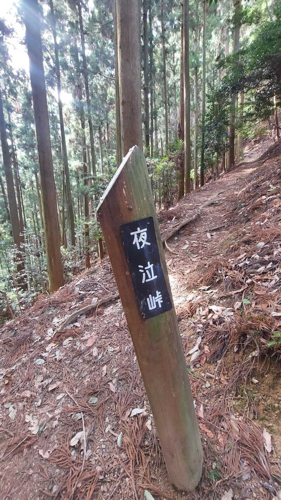 夜泣峠。やっと着いた～。暑かったし急登でしんどかった