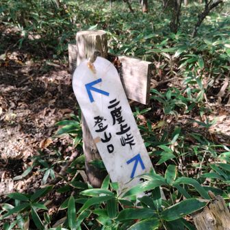 分岐まで戻って浅間隠山を目指します