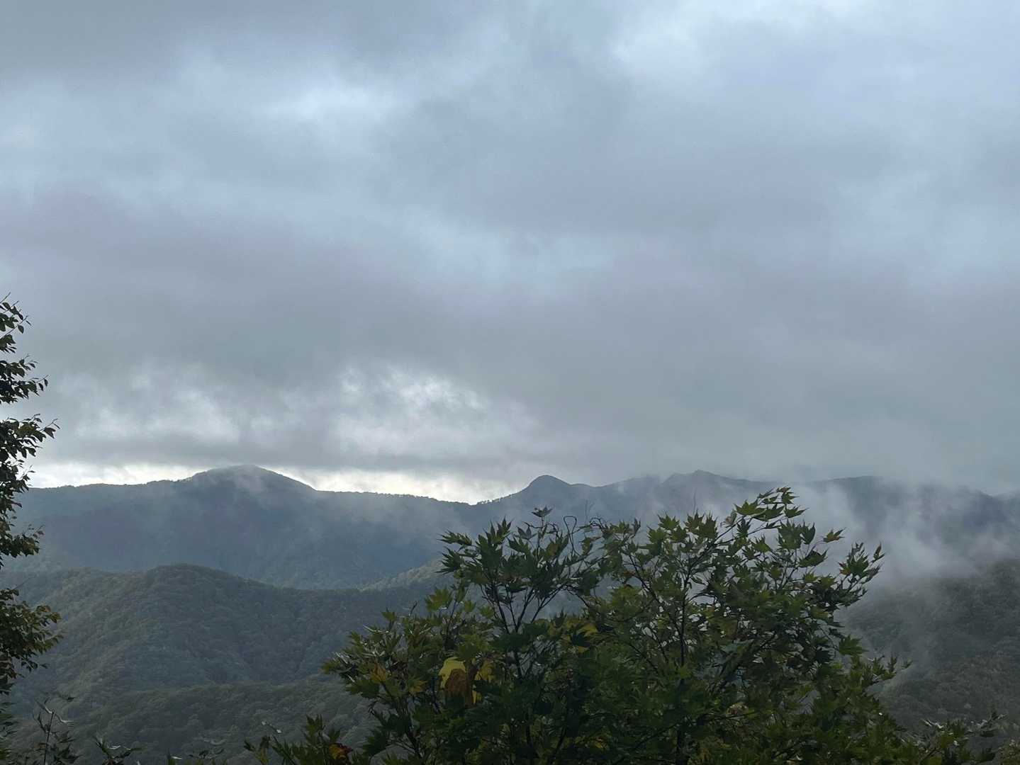 灰色の雲が不安🫤