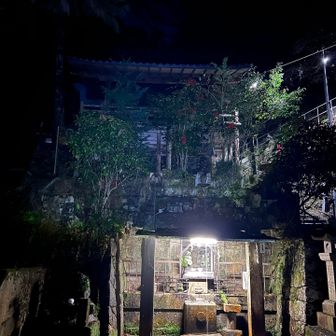 早尾神社に下りました