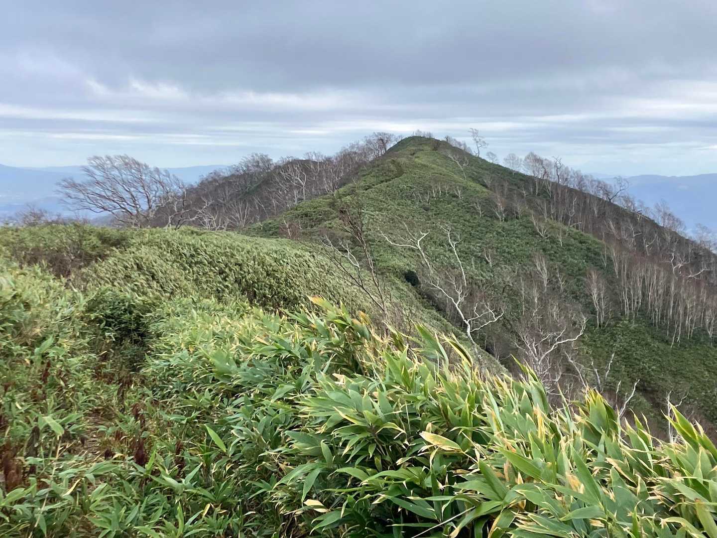 何個もニセピークを登り返し