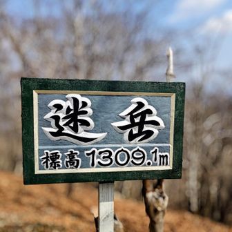 やっとこさー山頂着