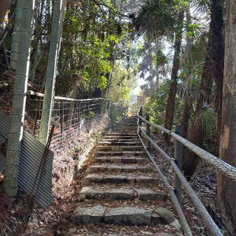 昼ご飯の時間が近付き⏰急ぎます