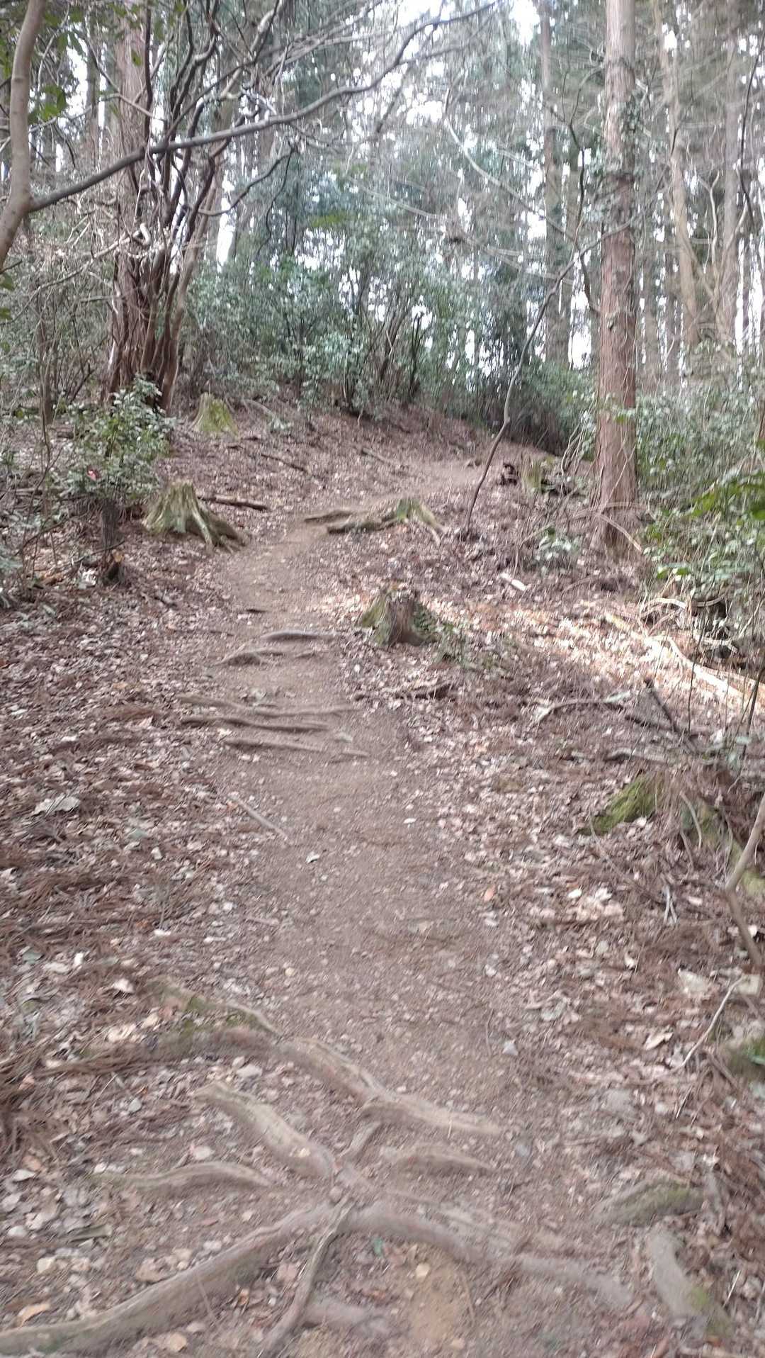 走れるとこは走って練習