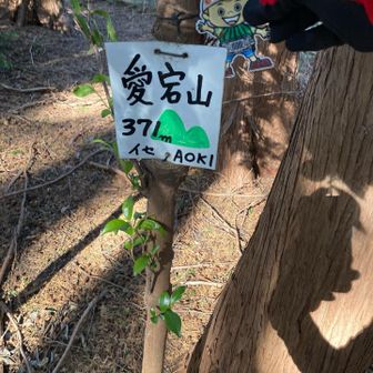 愛宕山🩶到着
イセAOKIさん