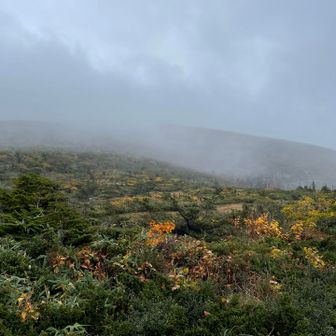 振り向いても屏風岳は見えない