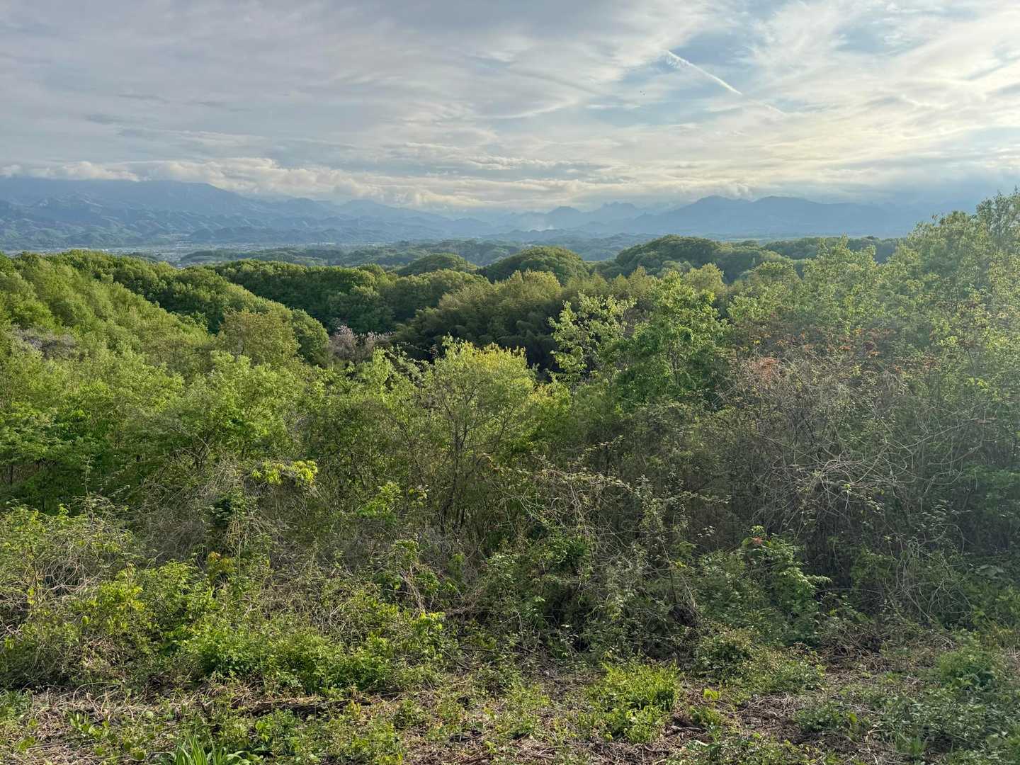 よかった。山見れたね。