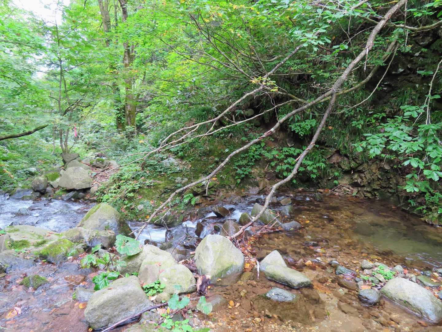 
渡渉も何度か。
変化に富んだ登山道でおもしろい♪
