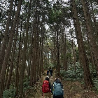 叶神社登山口から