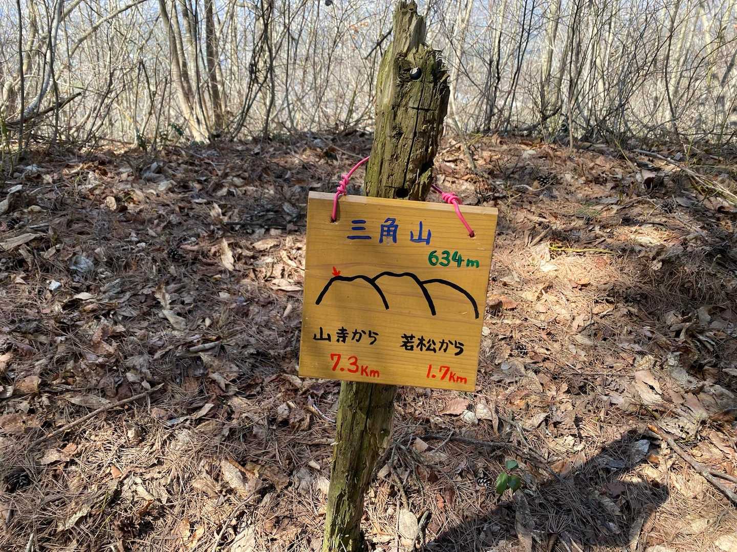 三角山登頂