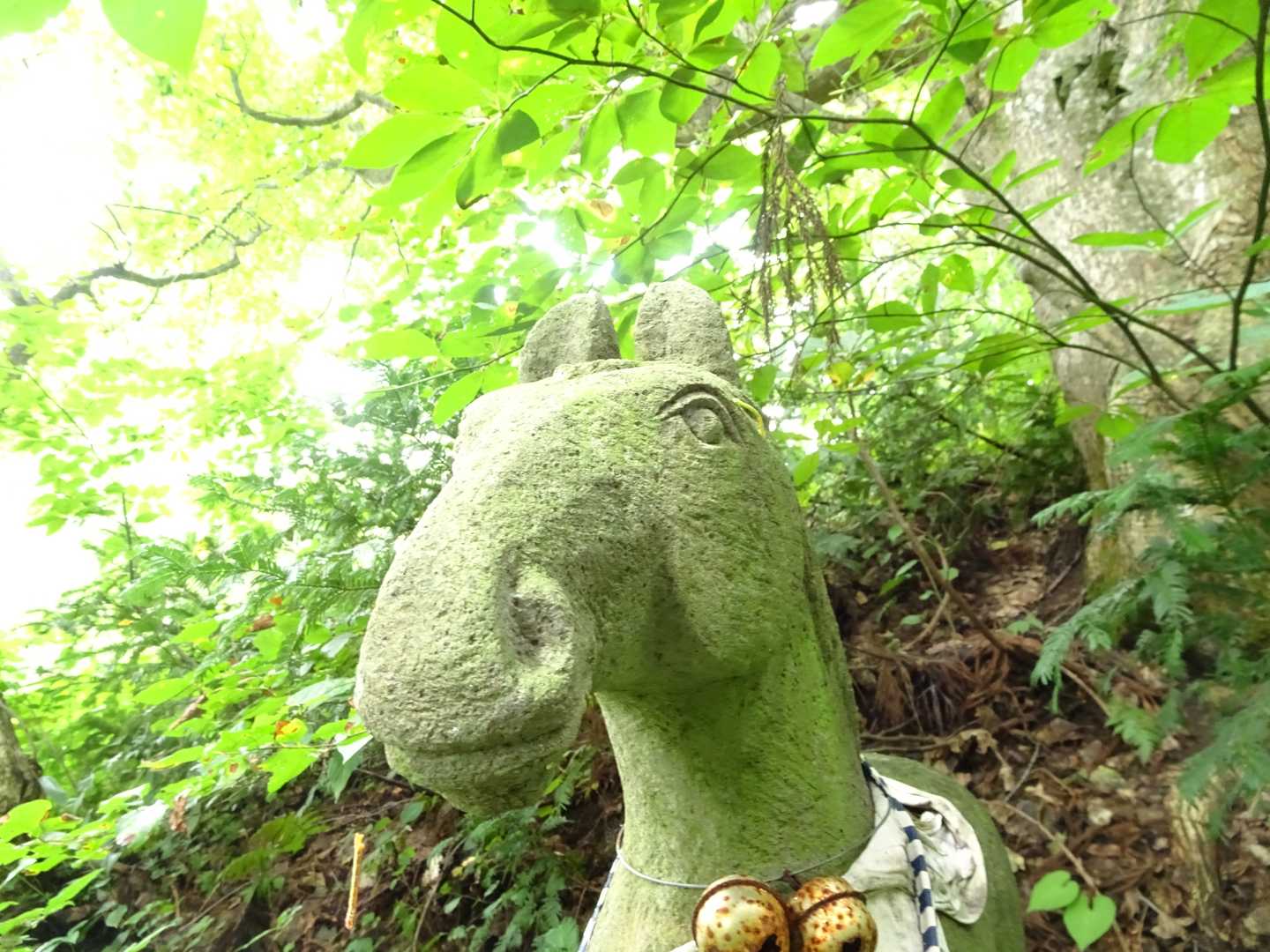 のほほん～。
