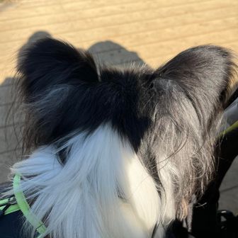 お膝で最後の休憩