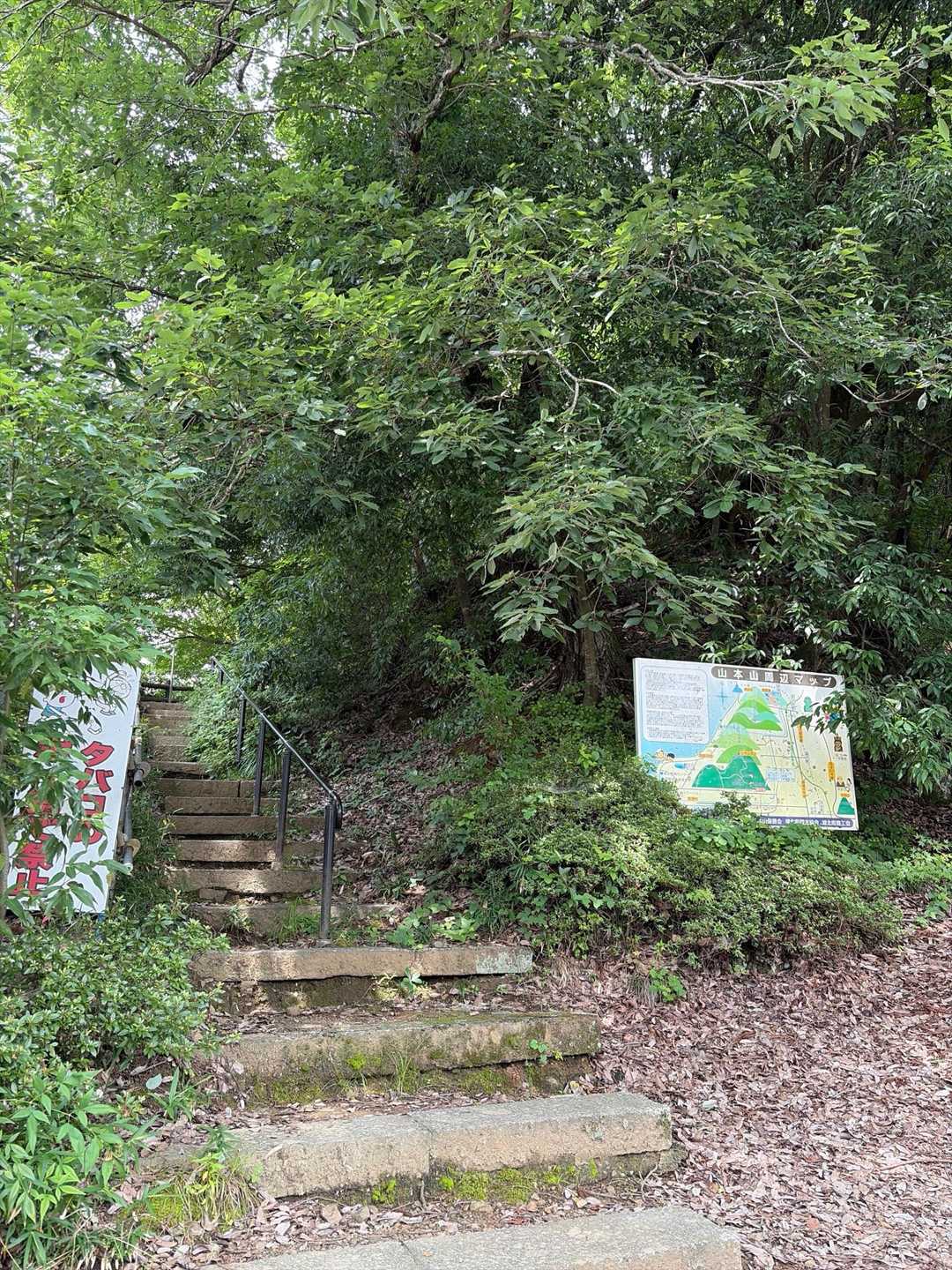 登り口
