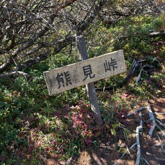 らしい名前です。ここから少し行くと激降りが始まります。