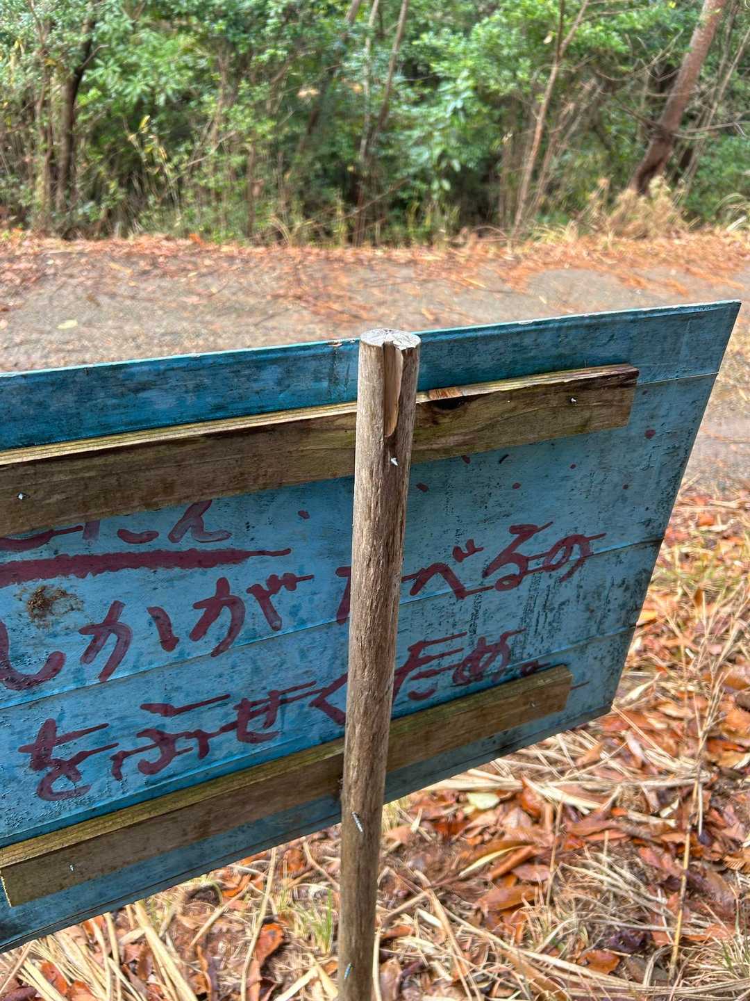正解