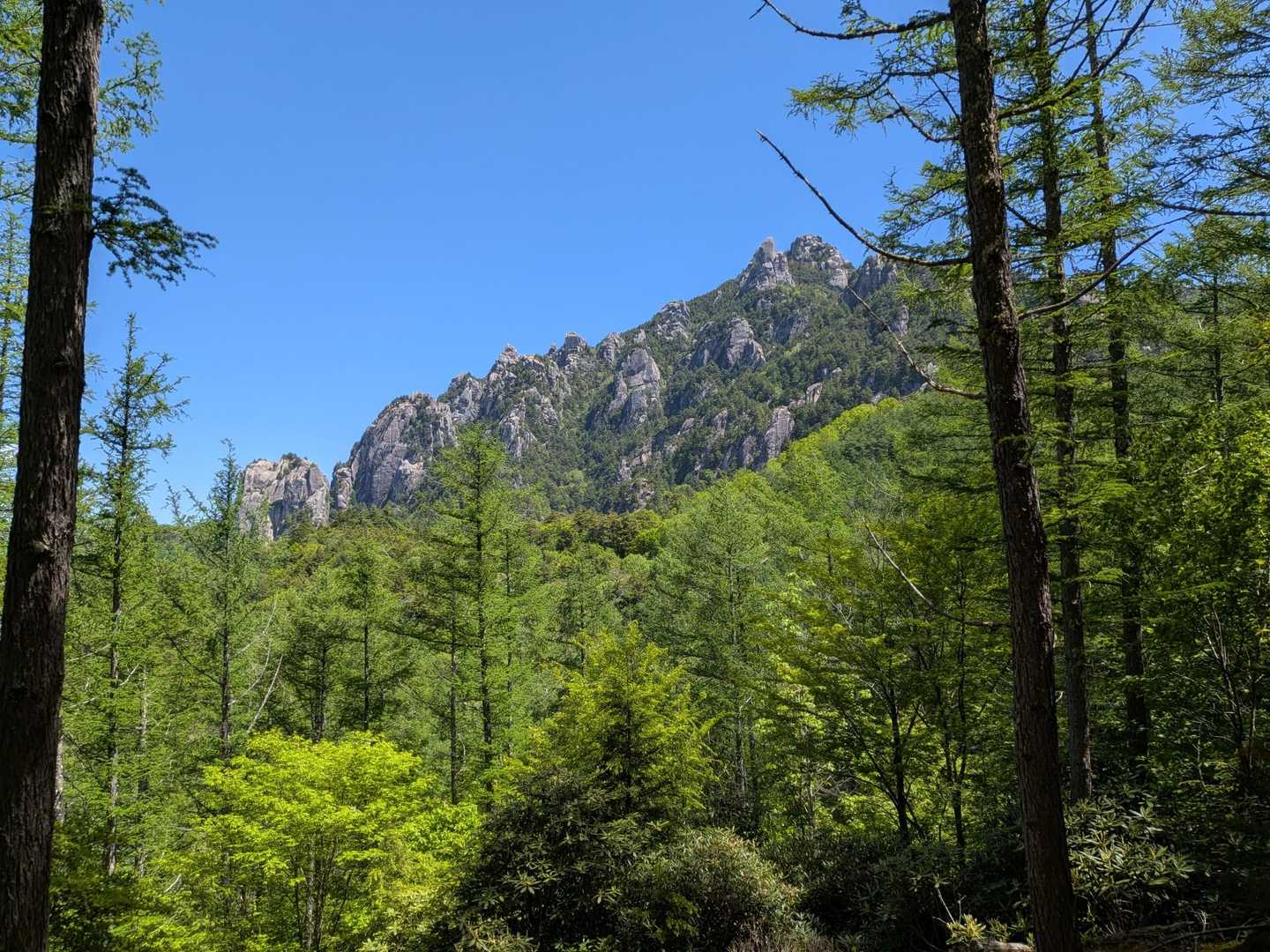 瑞牆山ー。✨️
明日登ります！
