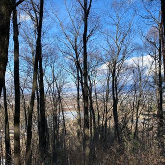 木々に遮られて眺望はイマイチ