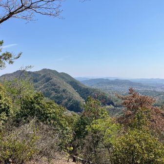 明王山、金毘羅山👀