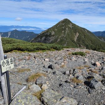 小兎岳登頂、上から見たら緩やかだけど、中々登りました