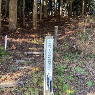 ゴール🟰スタート