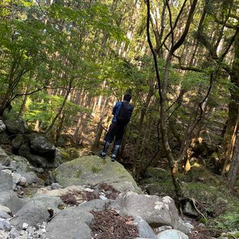 たかしまた有料