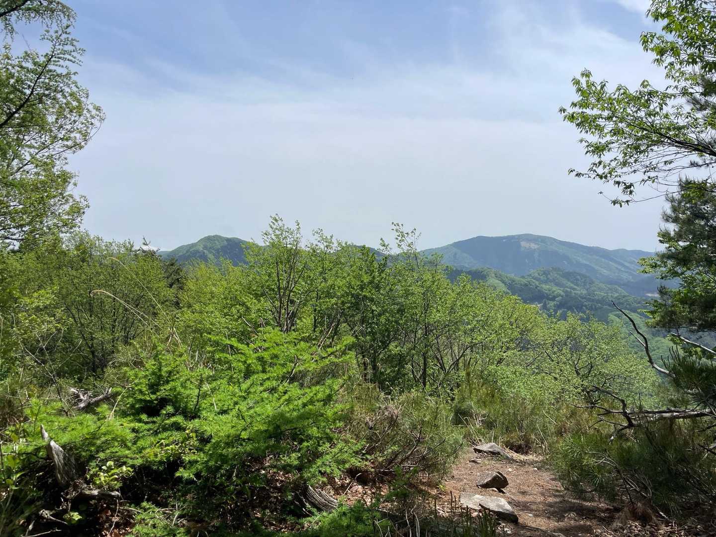 その眺望！！右の山は千町ヶ峰、左は笠杉山です