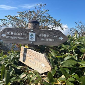 同級生、ここで伊予富士までの距離を見て爆笑🤣1キロって🤣🤣
騙されたことに気づいたか😂