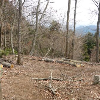 奥に見える一番高い山が岩茸石山