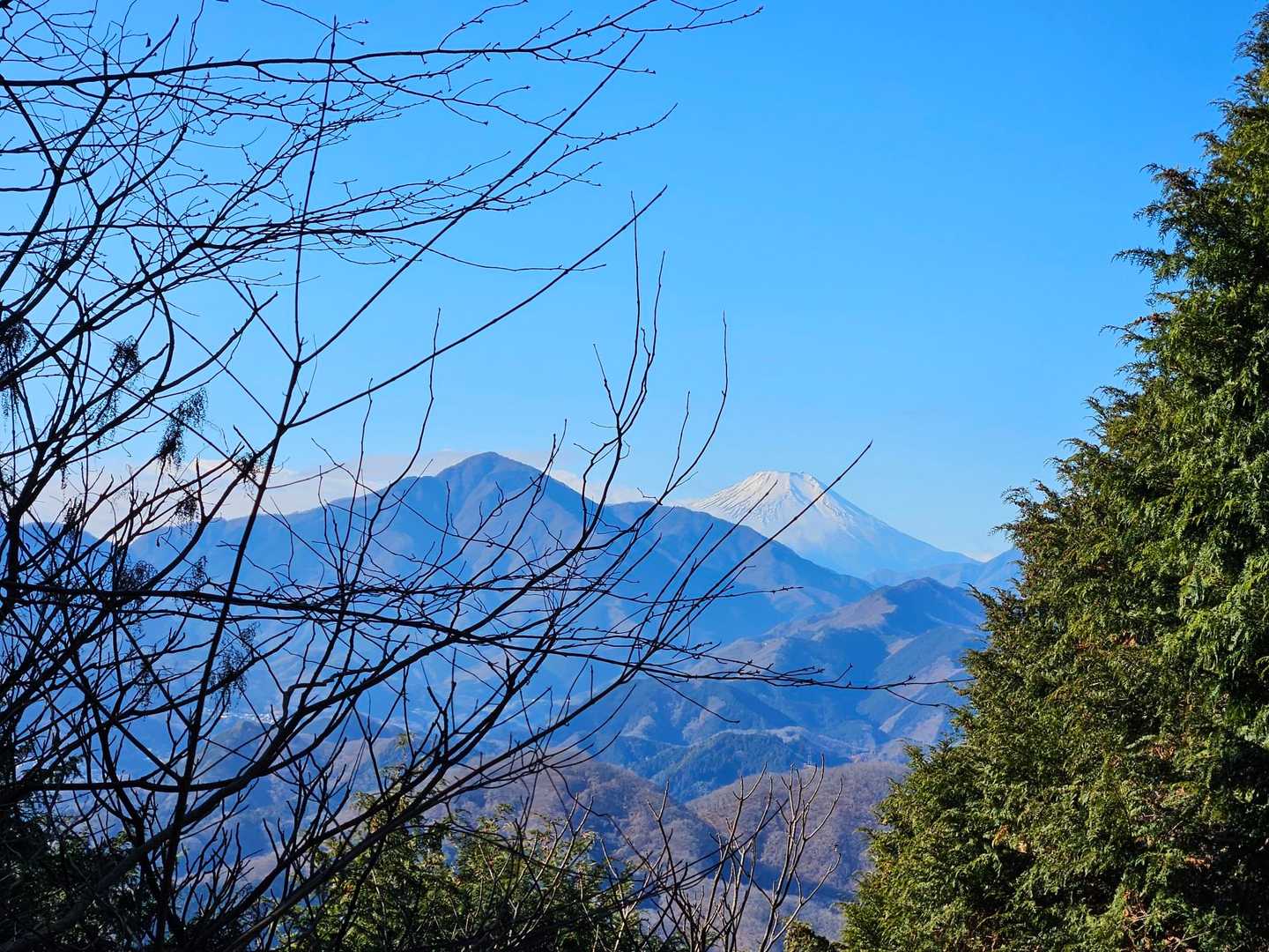 丹沢の奥に富士山🗻